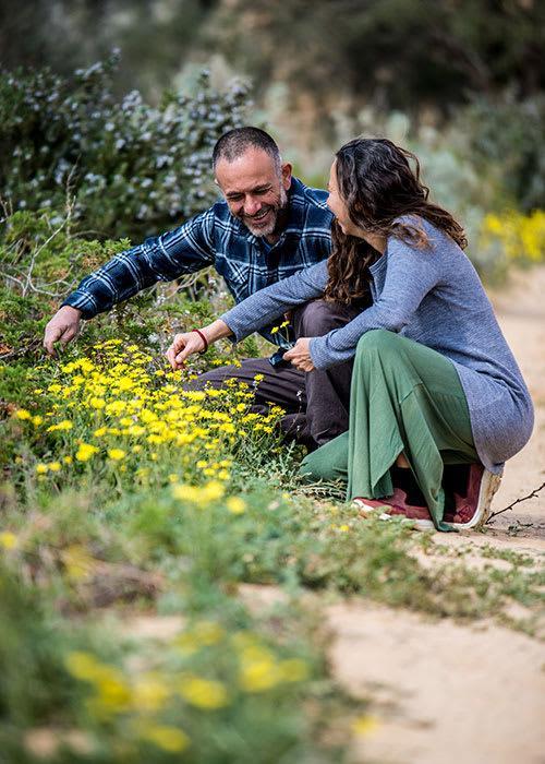 זריעה, גידול, קטיף וייבוש בחוות שירת המדבר