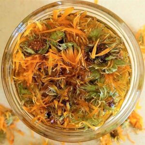 calendula oil2 Shirat Ha'Midbar - A Farming Experience in the Midst of Herbs